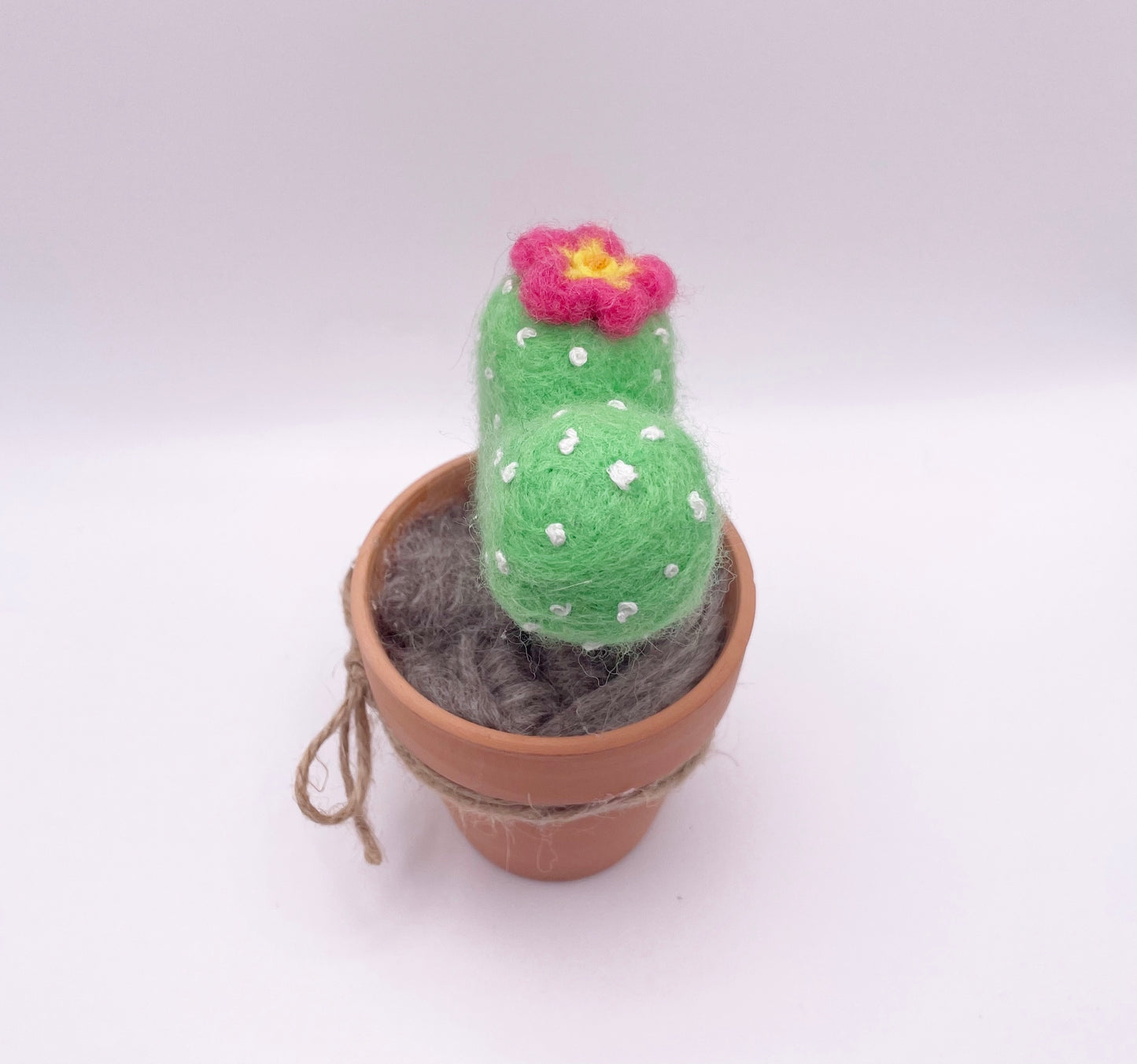 Heart shaped Cactus in a Terra Cotta Pot Needle Felted Figure